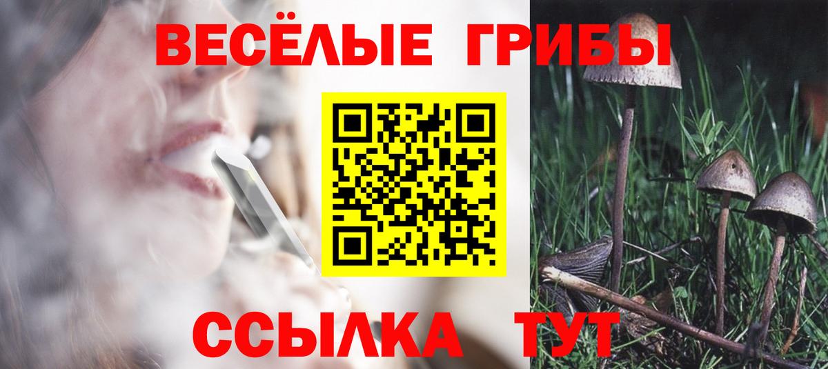 Галлюциногенные грибы мухоморы  Вход с VPN  Балашиха 